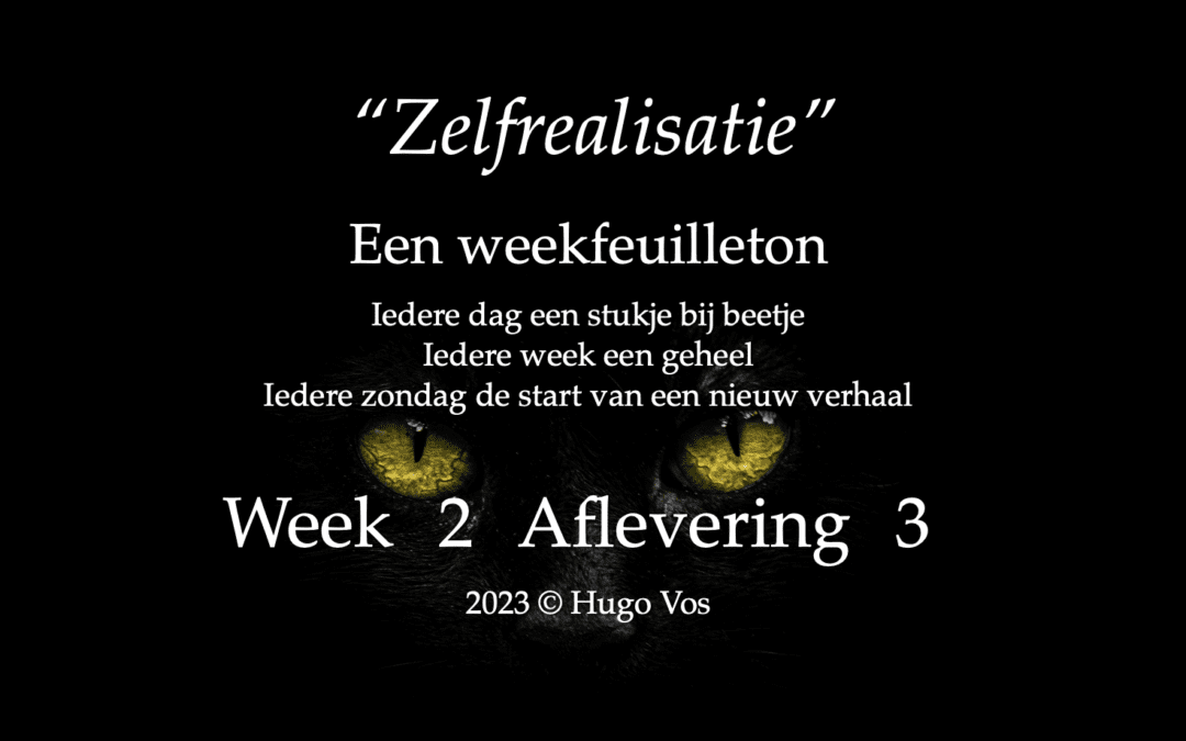 “Zelfrealisatie” (Aflevering 3)