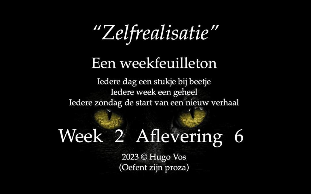 “Zelfrealisatie” (Aflevering 6)