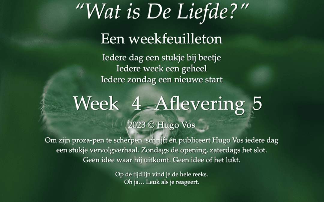 “Wat is De Liefde?” (Aflevering 5)