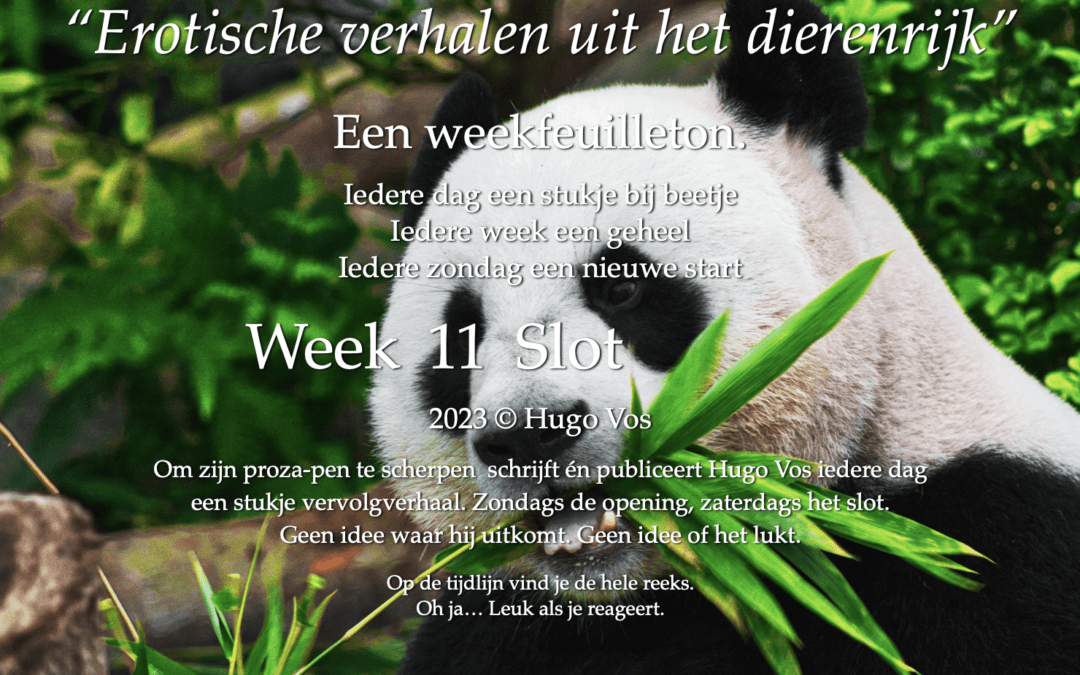 “Erotische verhalen uit het dierenrijk” (7: De panda) 